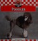 Go to record Poodles