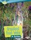 Go to record Grassland food webs in action