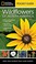Go to record Wildflowers of North America