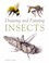 Go to record Drawing and painting insects