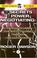 Go to record The secrets of power negotiating how to gain the upper han...