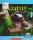 Go to record Sloths