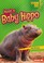 Go to record Meet a baby hippo