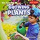 Go to record Growing plants